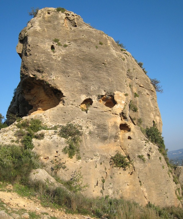 Tormo Gros