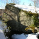 Metsä thumbnail