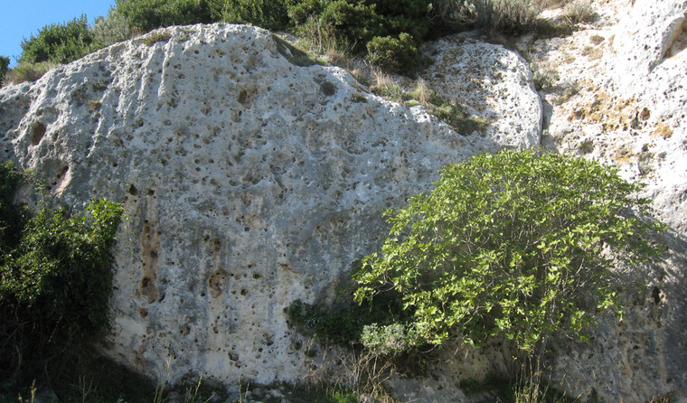 Dimensione Verticale