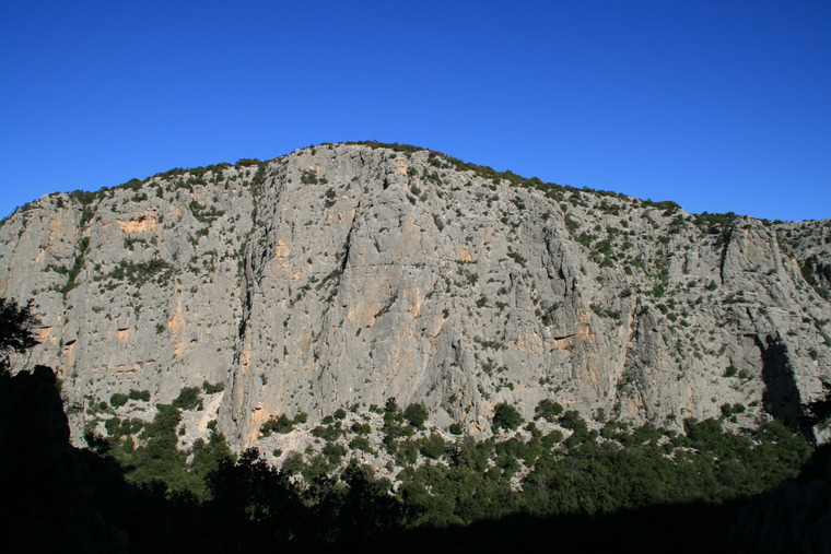 Surtana - Face South