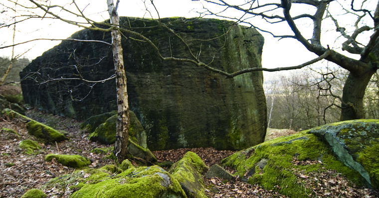 Suckers Wall