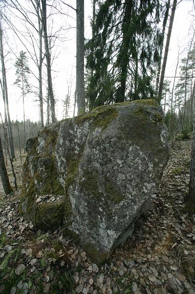 Tempaus