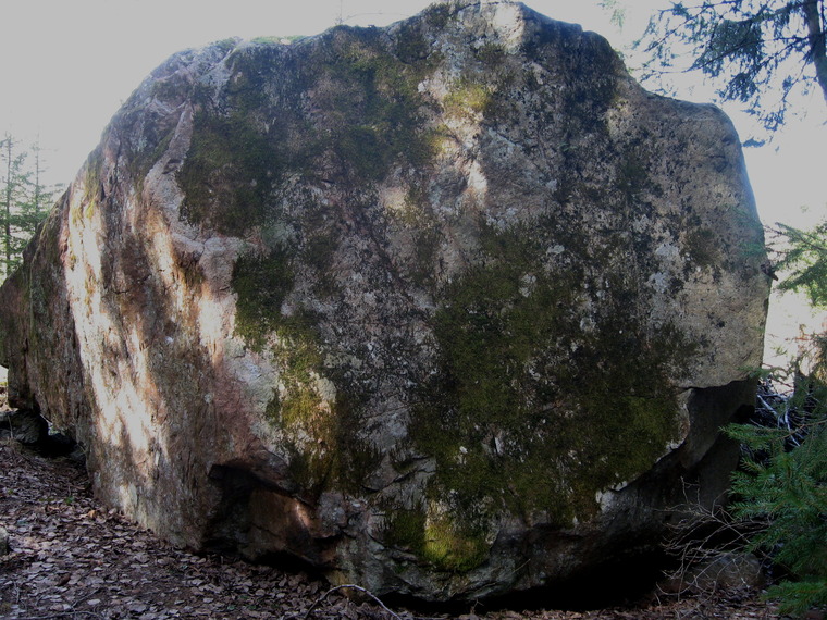 World's Strongest Man