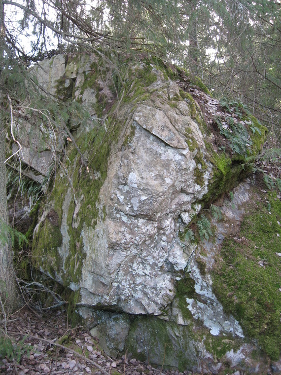 World's Strongest Man