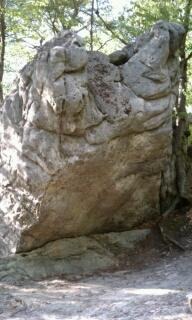 The Standard American Accent Boulder