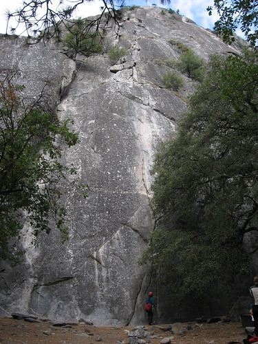 Manure Pile Buttress