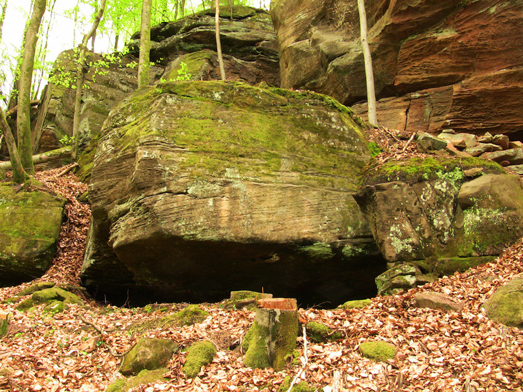 Das Gedächtnis des Wassers