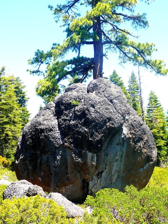 Rope Boulder