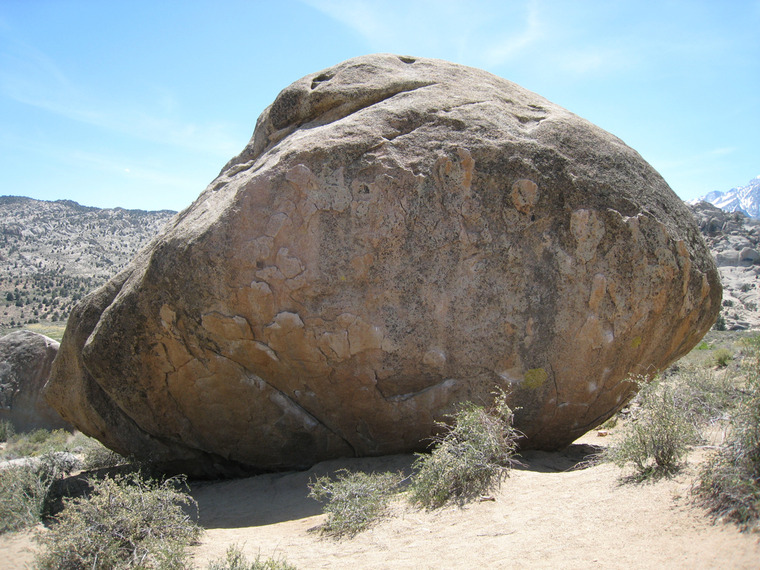 Mandala & Smooth Shrimp