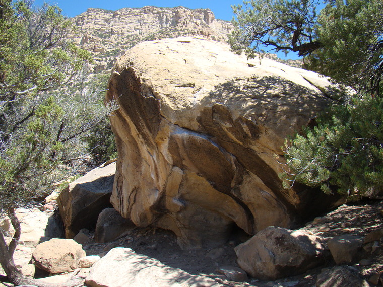The Self Service Boulder