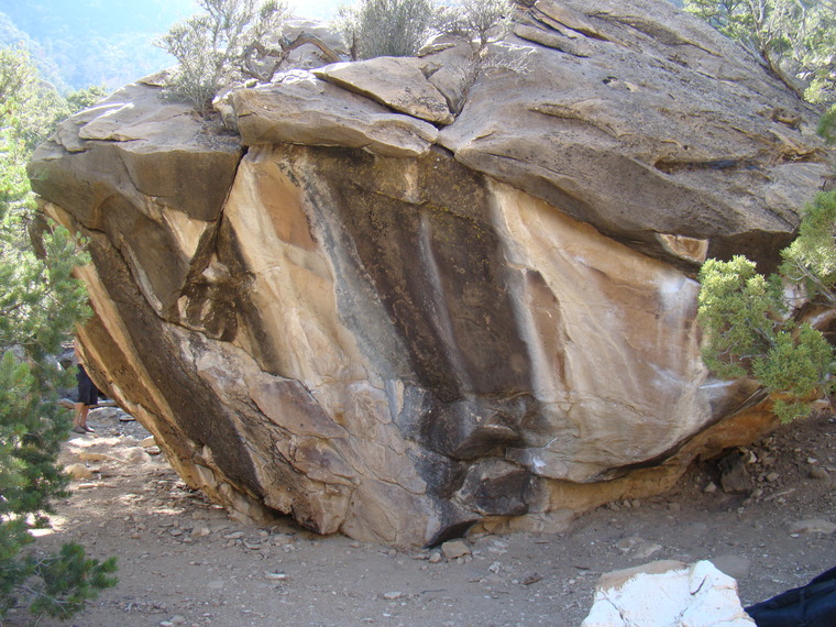Man Size Area