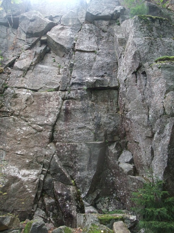 Alainen-Toriseva forest