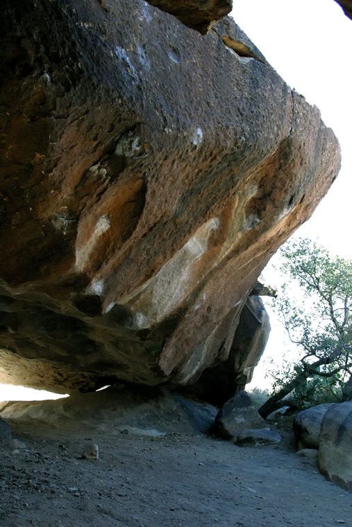 Above the Ranch House