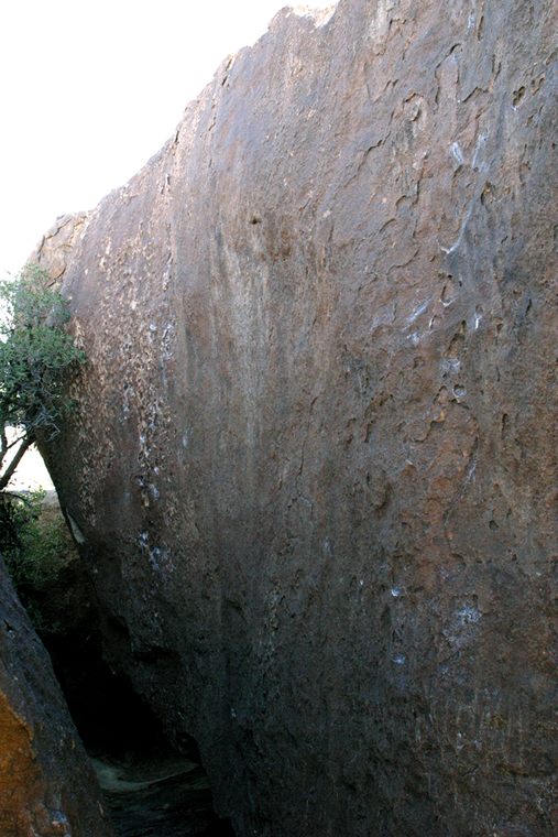 Above the Ranch House