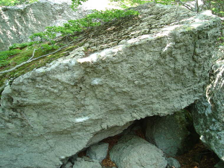 Sector B_Kung Fu Master