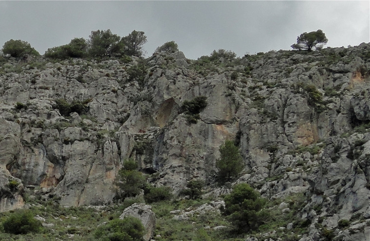 Rocío, Aguililla, Nietos y Piedra Tumbada