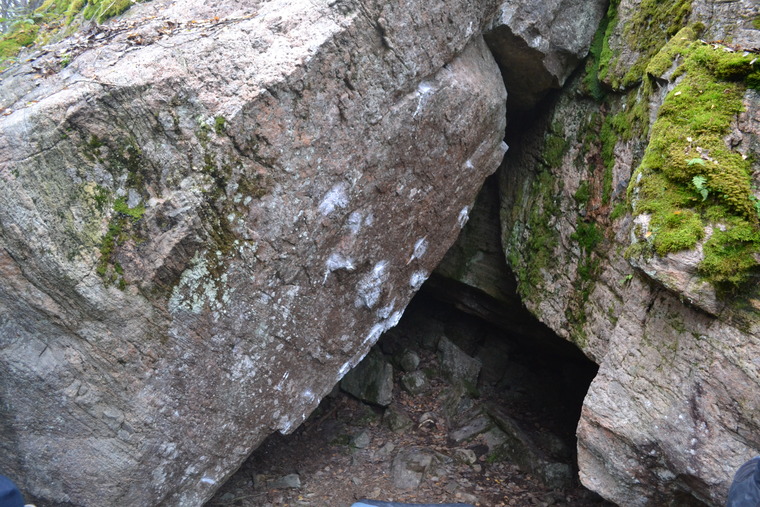 Зимовье зверей