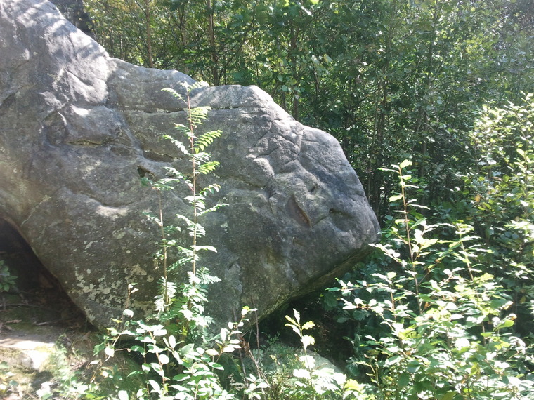 Linia eNN-ergetyczna