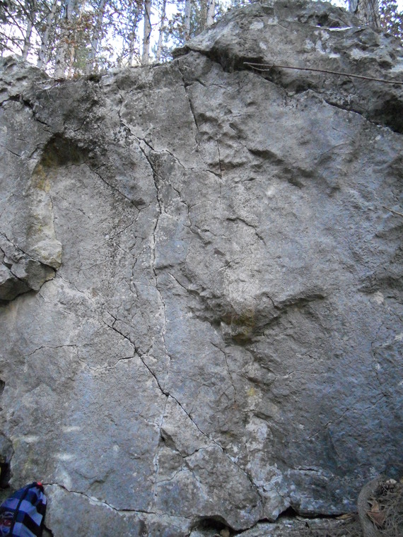 Padurea cu bolovani - est