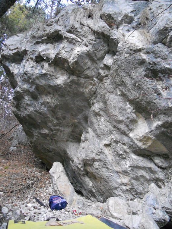 Padurea cu bolovani - est