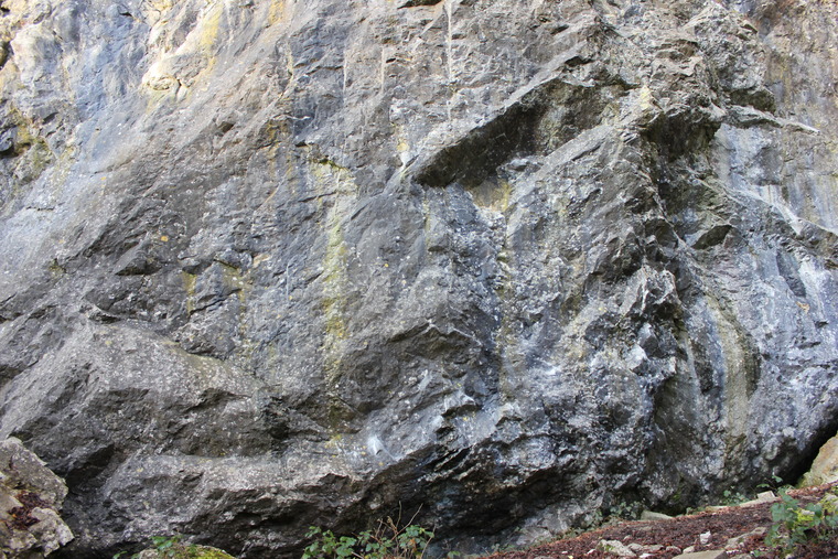Regulation Wall Bouldering