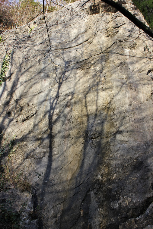 The Inflated Round Head Area