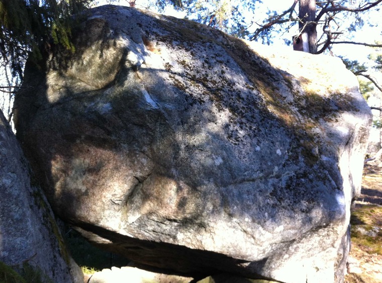 Ride my face to Chicago