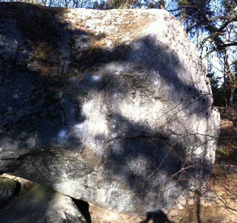 Ride my face to Chicago