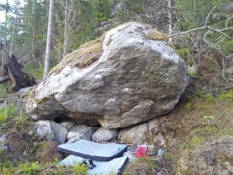 Managment by bullshit