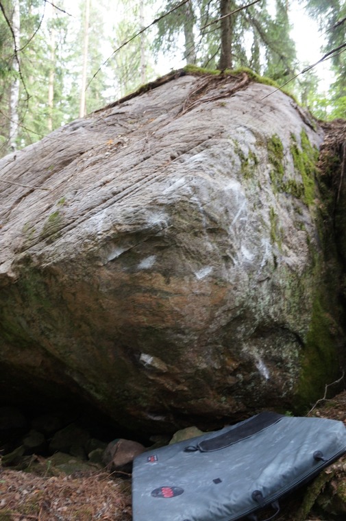 Лесной сектор