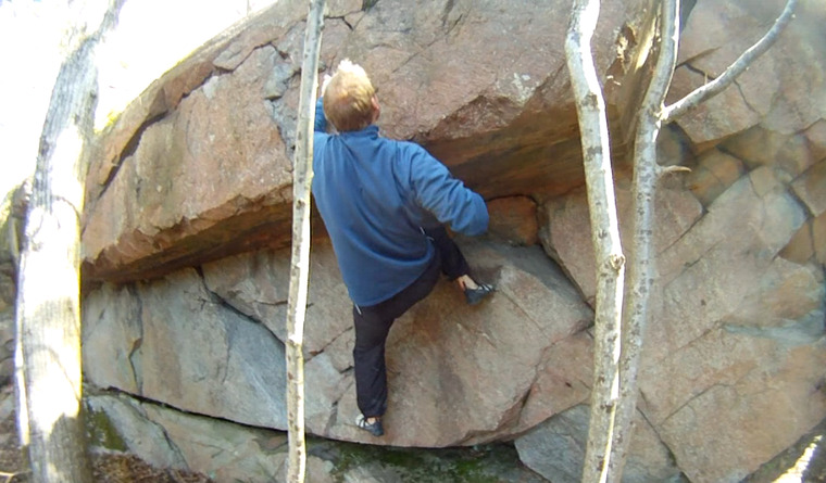 Lilla jamtaksväggen