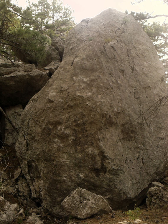 Виноградная Дашка