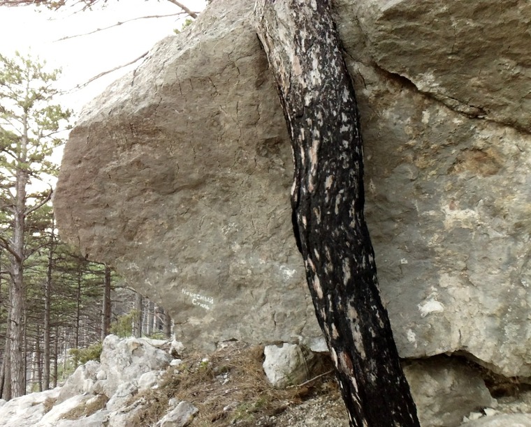 ОПТ, Зурбаган, Небесный Стиль