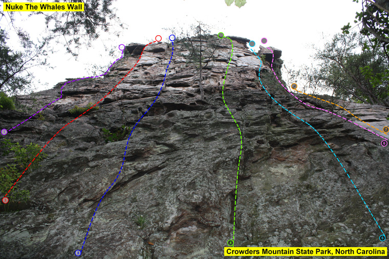 Nuke The Whales Wall