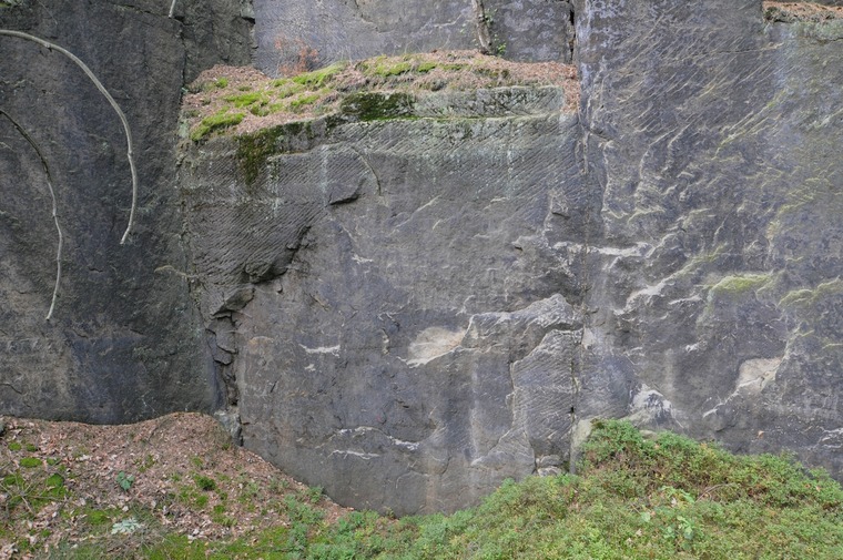 Masiv u Bábovky - sektor D