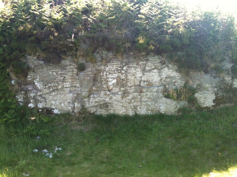 Grace of Mary Traverse