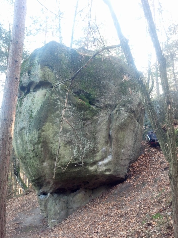 Skały w lesie