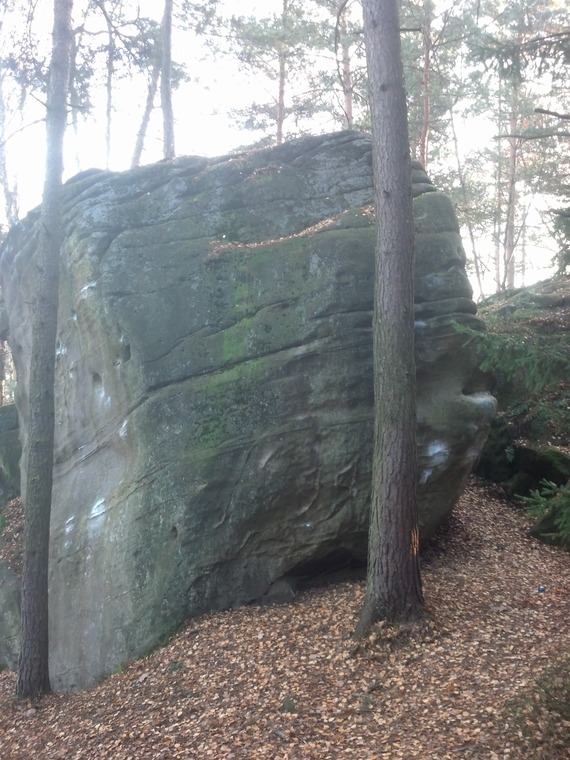 Skały w lesie