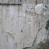 Barbara Anika Baracchi