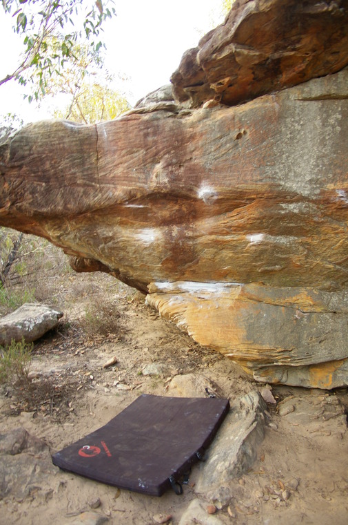 Gourmet Cats & Da lai