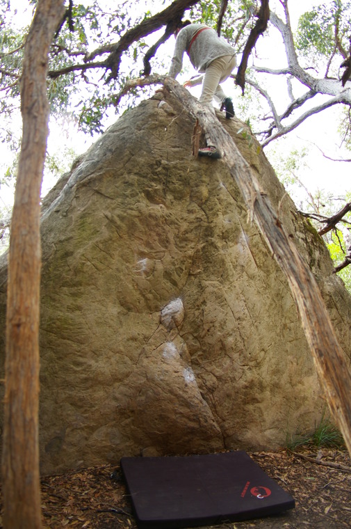 Lygon st Boulder