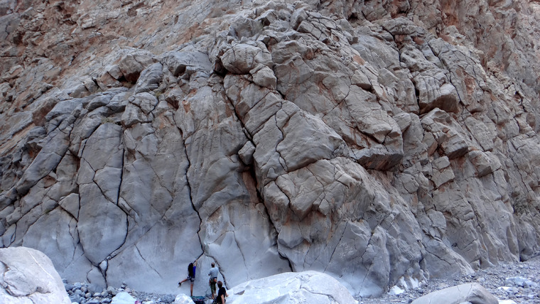 Hoppin’ John Sector