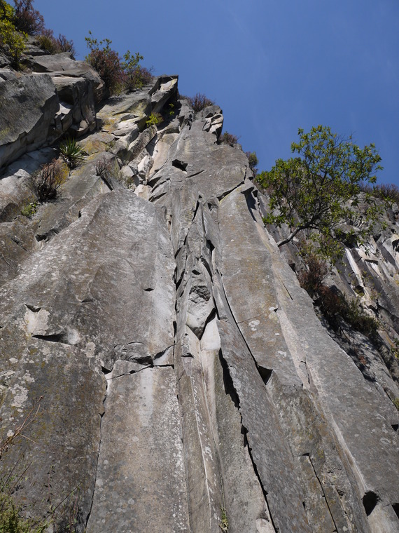 Cuarto Dinamo - La Coconetla