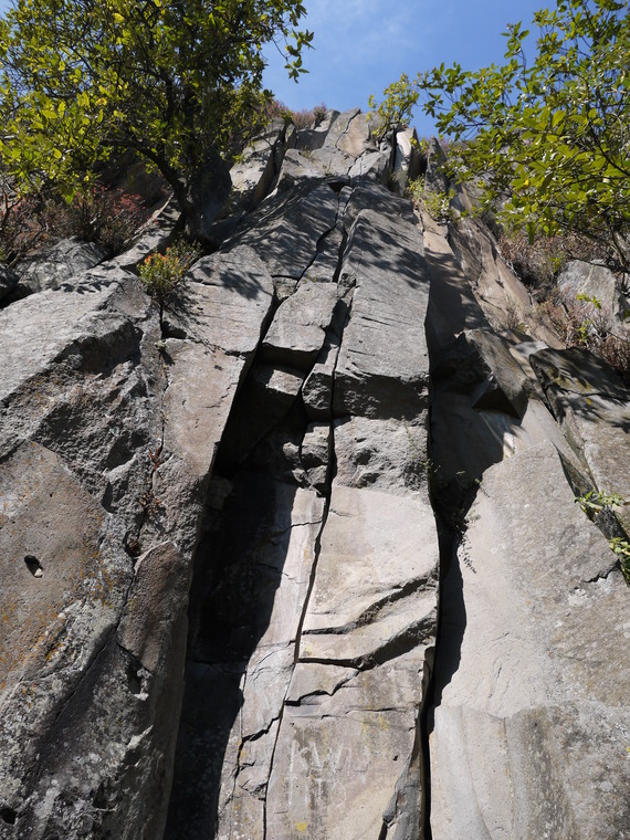Cuarto Dinamo - La Coconetla