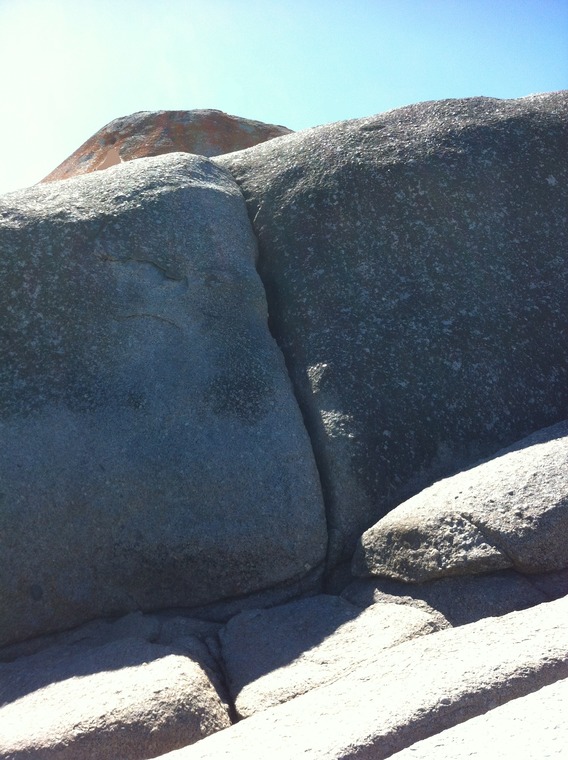 Bridal Spay Boulders