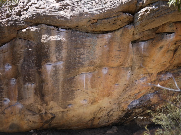 Happy Camper Boulder