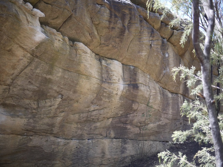 Happy Camper Boulder