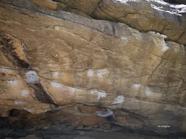 Happy Camper Boulder