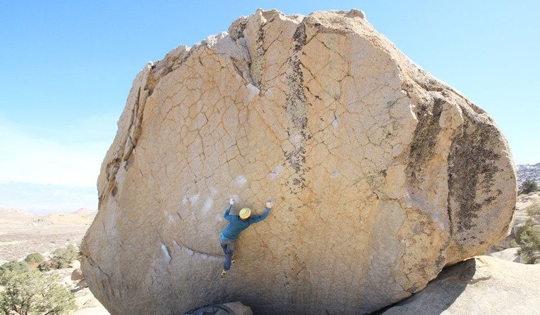 Checkerboard Boulder
