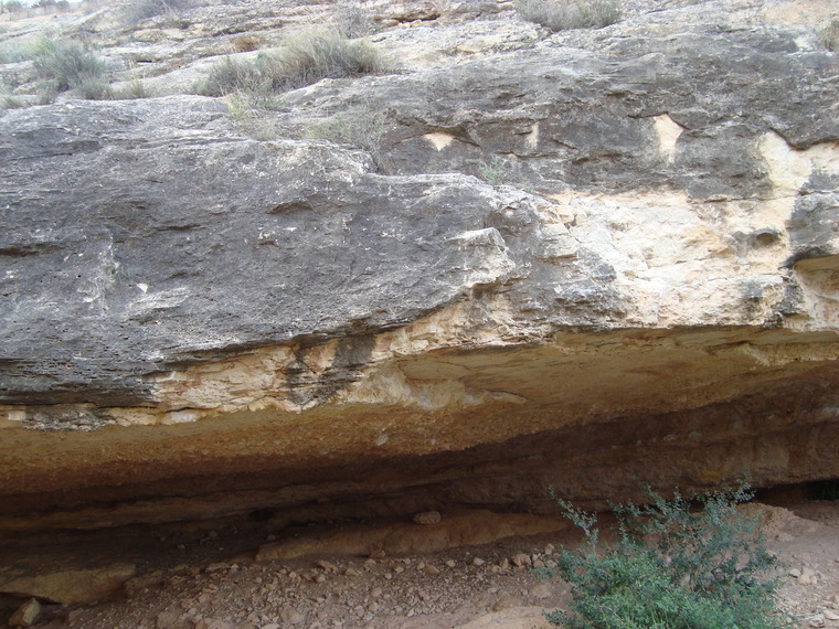 La Rambla - Cova de la Gota